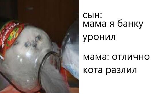 Мем от любитель мемав и смешариков