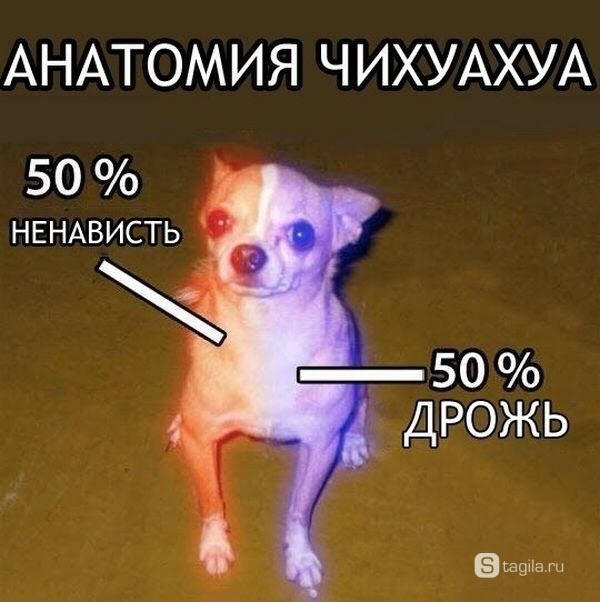 Мем от Джус