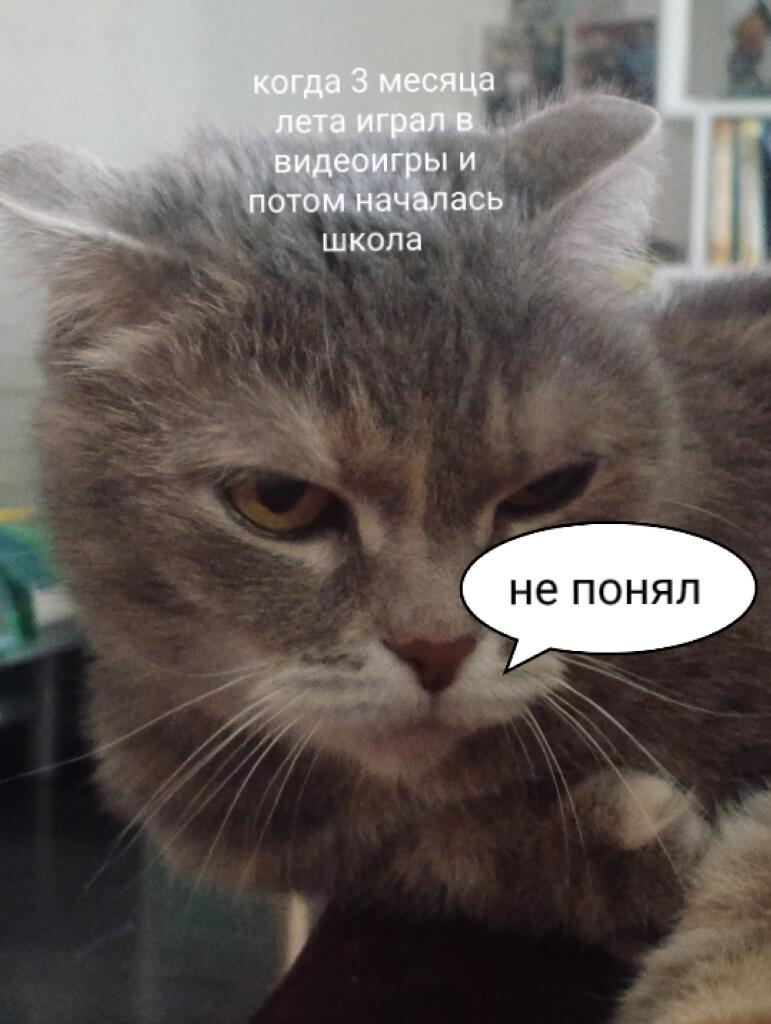 Жиза