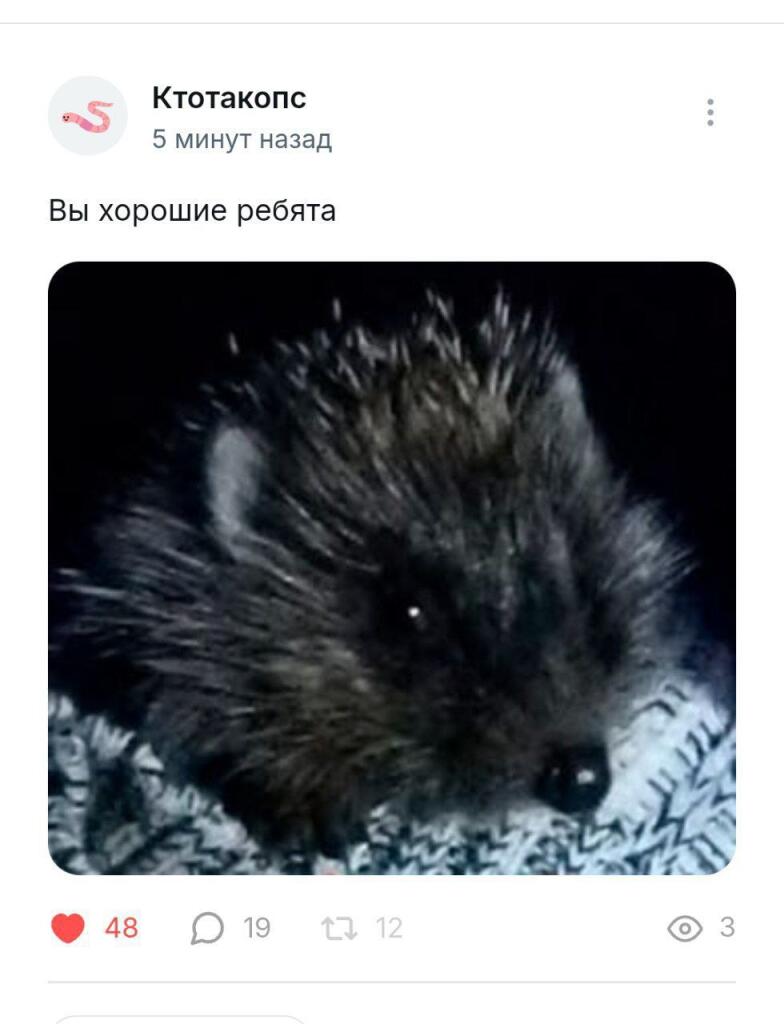 Вы хорошие ребята