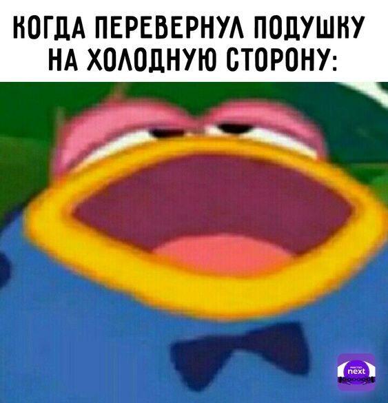как на арбуз.
