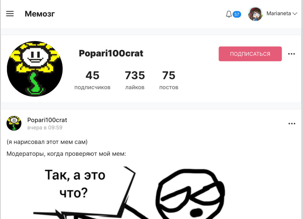 Нашла вот эти два скриншота в файлах…Вот таким был старый мемозг, новички.