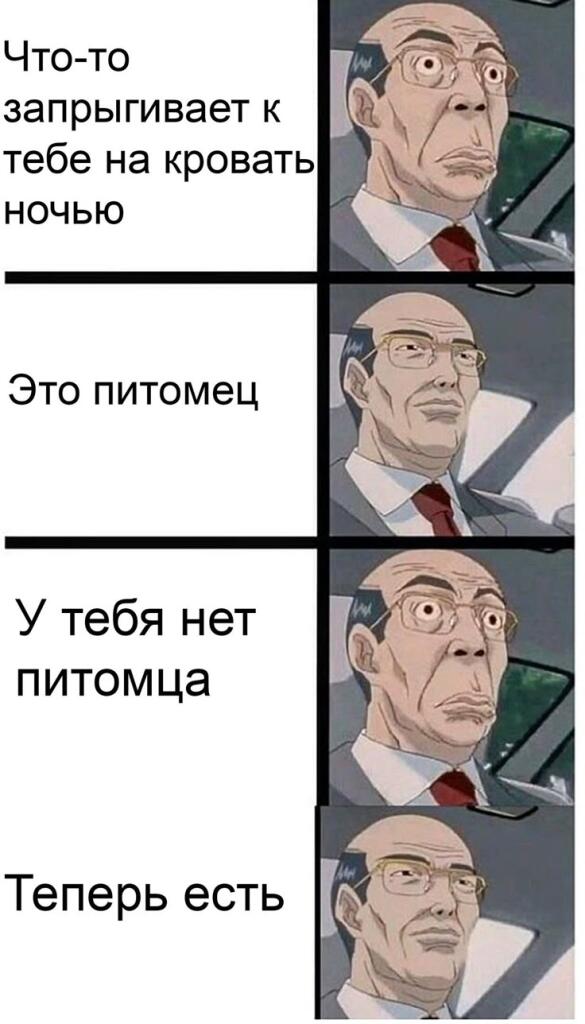 ...................................