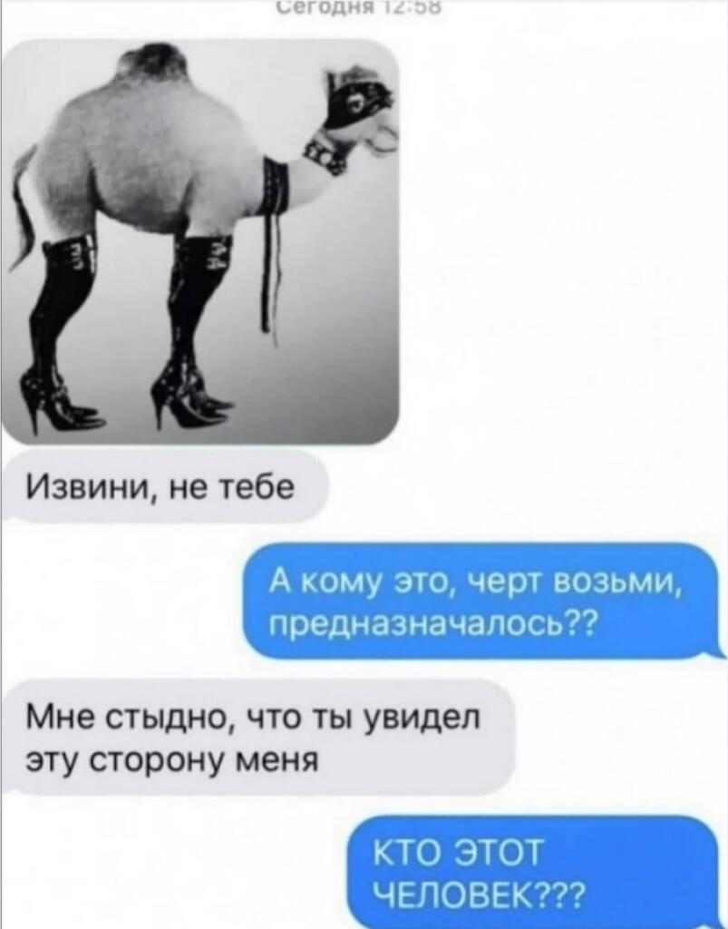 Крутой верблюд