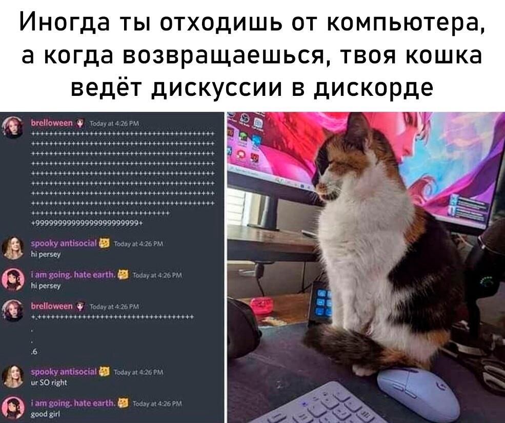 Хехе