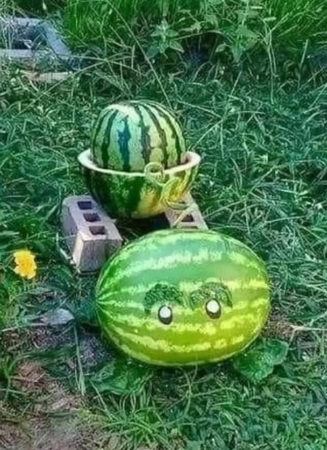 Мем без подписи
