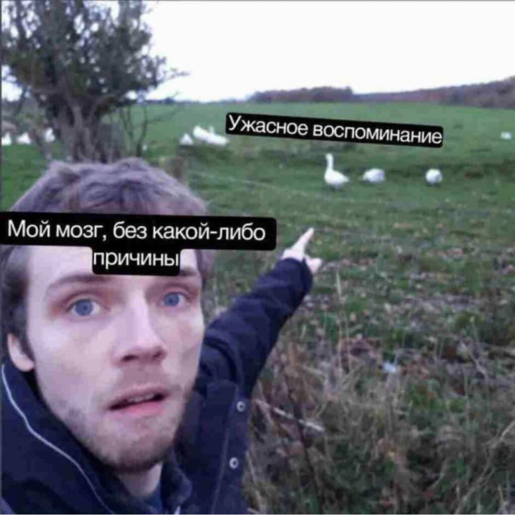 Што писат