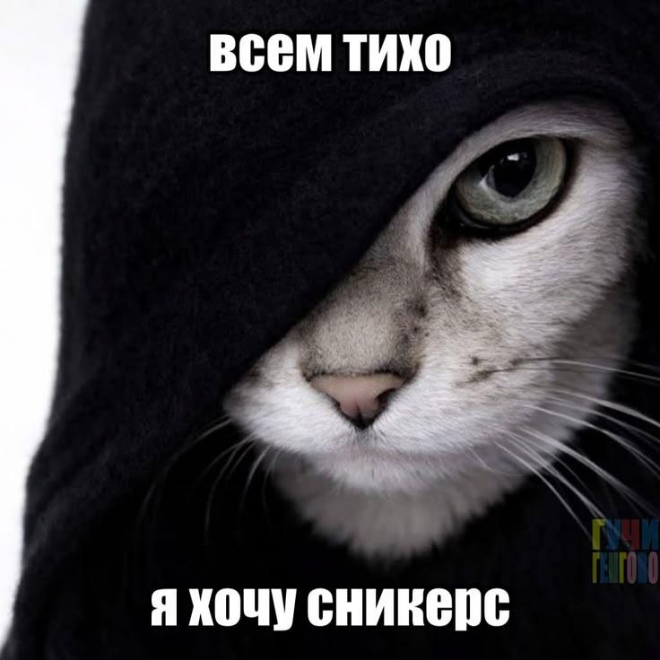 |
 \|/