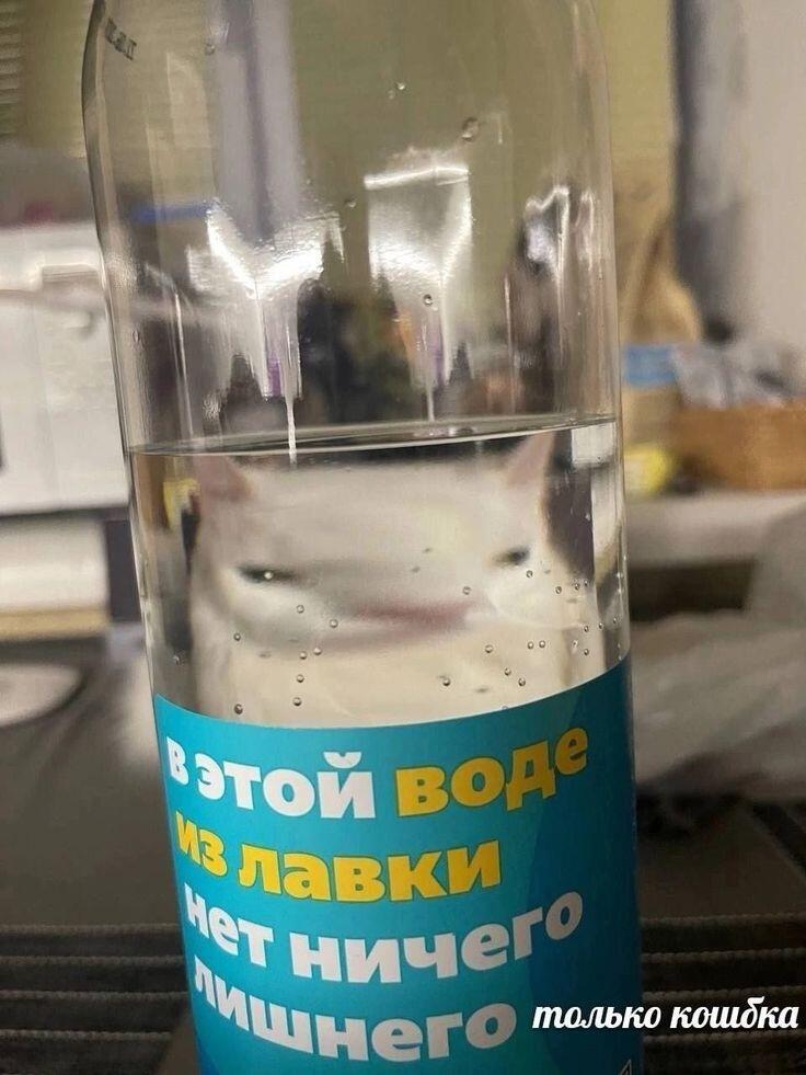 Подождите, а что это за морда? А нет, всё так и должно быть