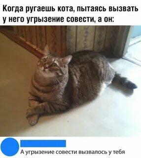 Мем от [[Лысый]-kYрВа 🟣🟡