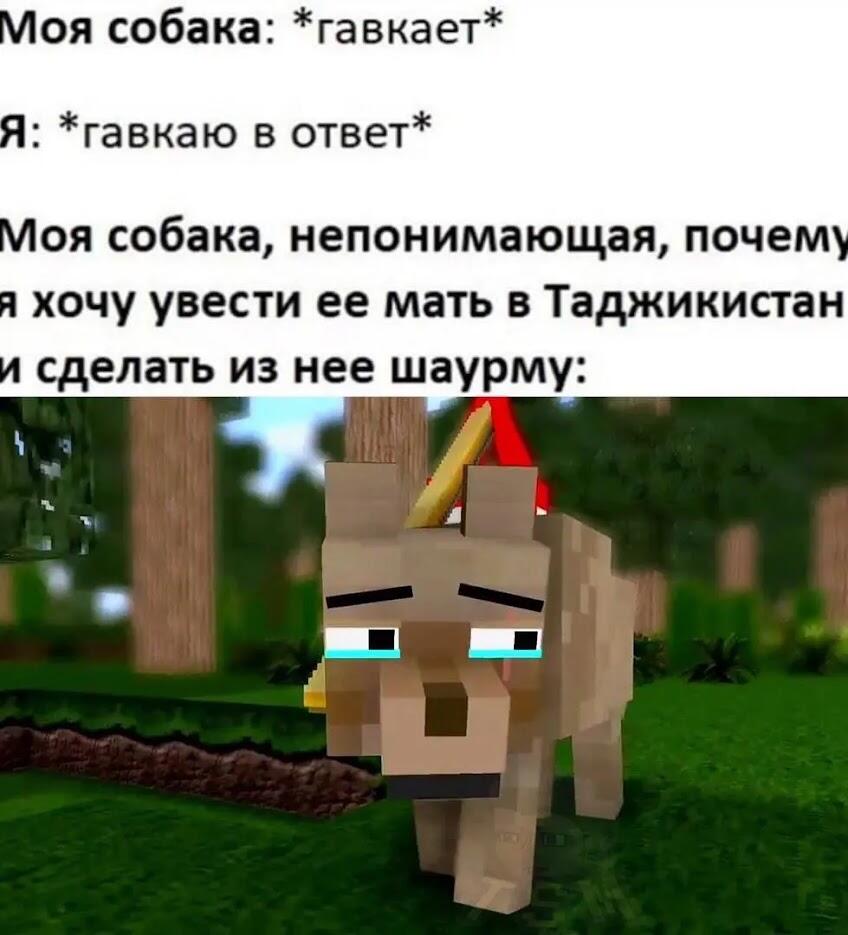 Мем от мемотролл