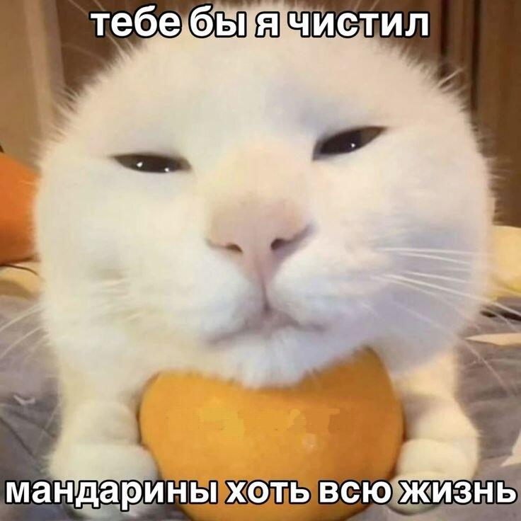 Мем от Сметана CHUP