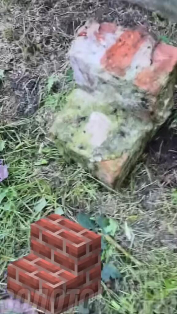 Мем без подписи