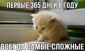 Мем от Табурет