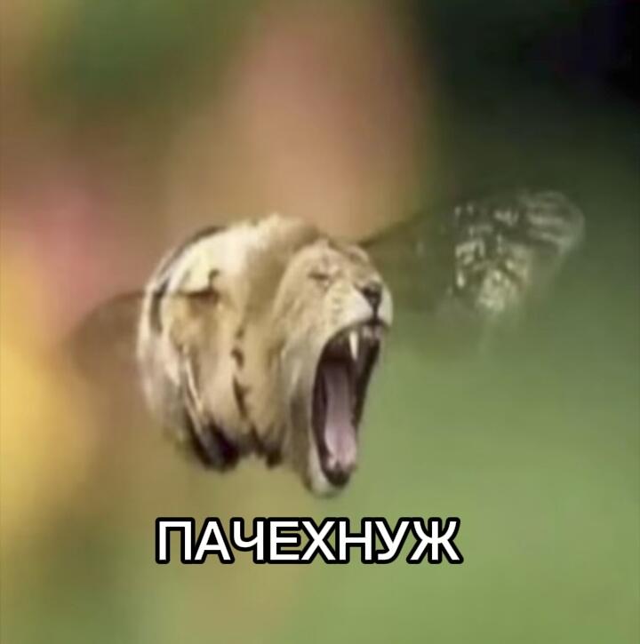 Как думаете, я создал новый мем?
