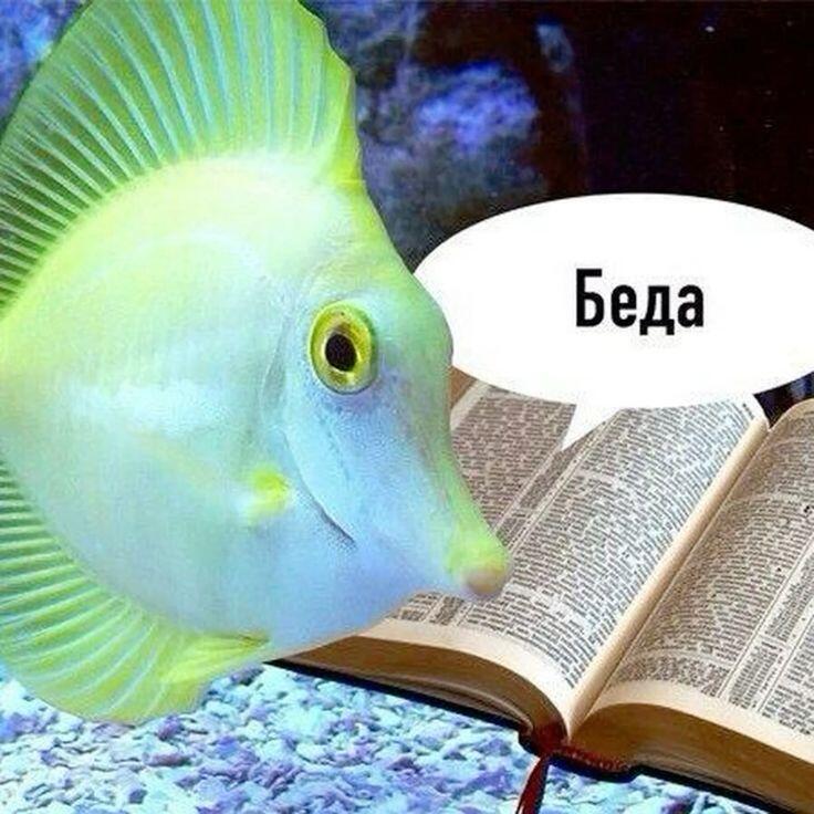 скоро будут мемы с грибами