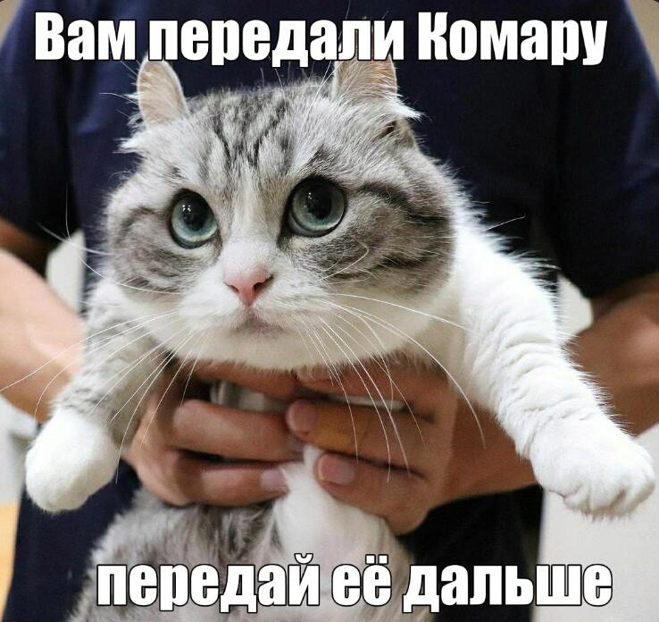 Мем от а