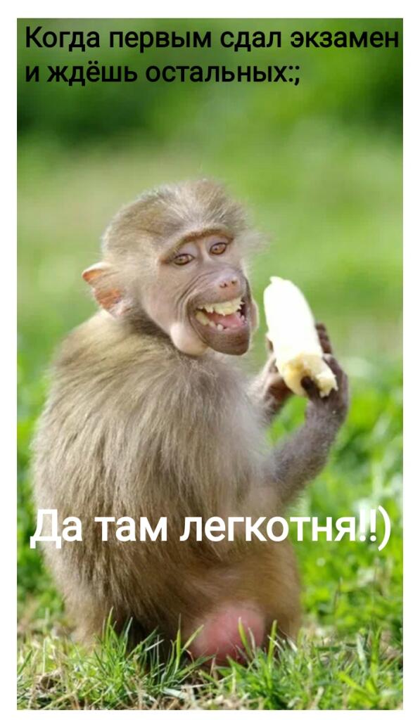 Мем от Lahma