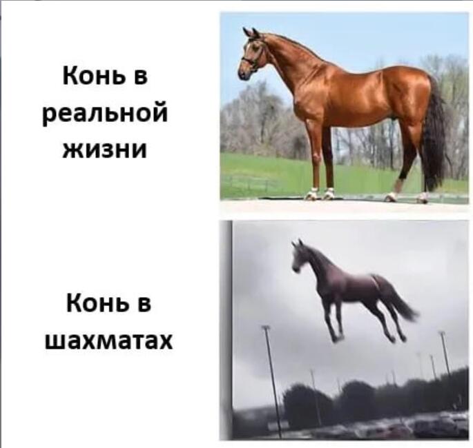 Мем от мемный лев(мне 13!)