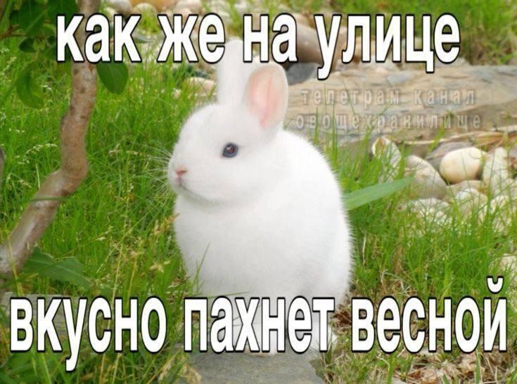 Мем от ГУП "НМТ"