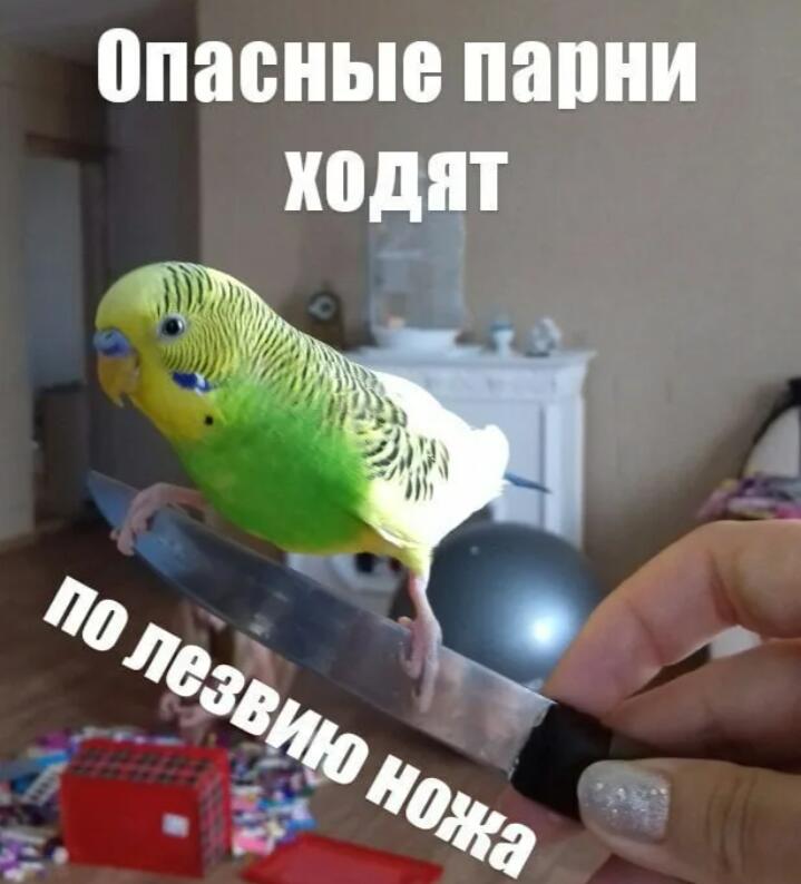 Мем от Ivan14