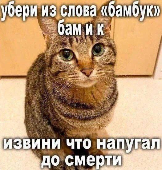Мем от Arsene kor