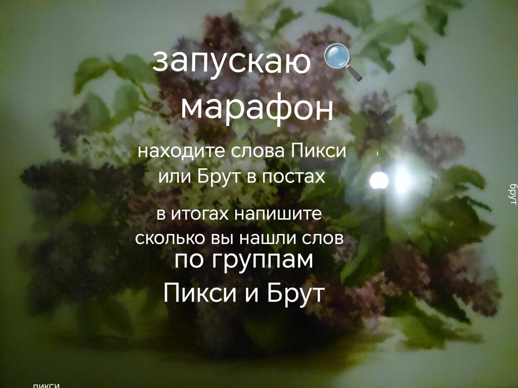Только честно.
