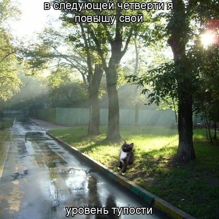 Уже совсем скоро: