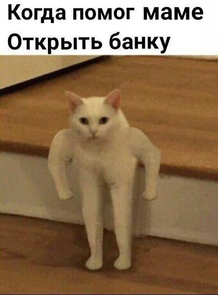 Мем от Vasa_v0dila_lubit_pivo