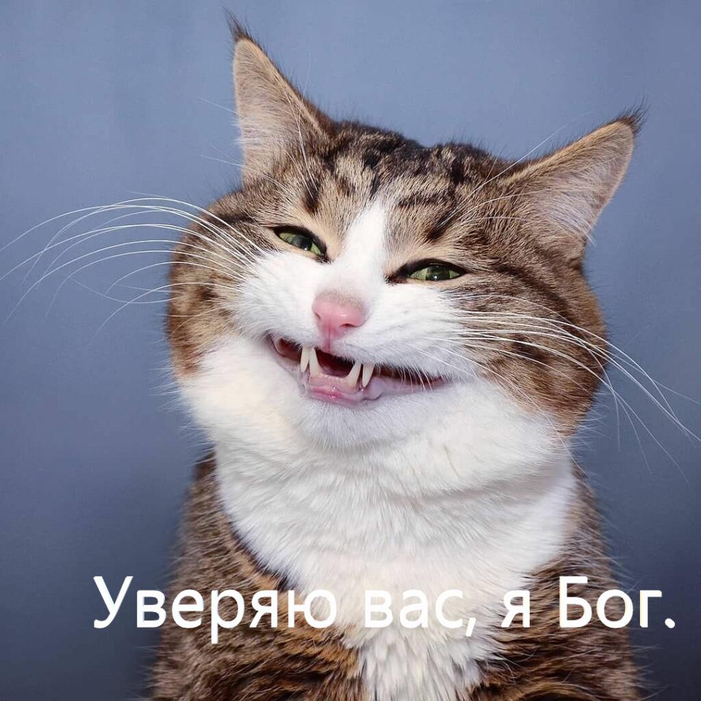 Коротко о котах в древнем Египте: