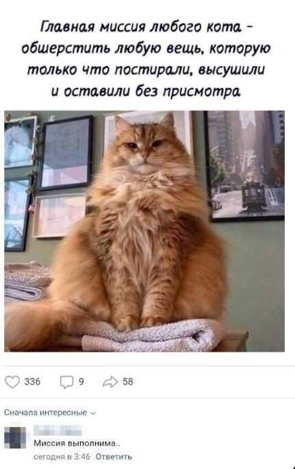 Мем от а