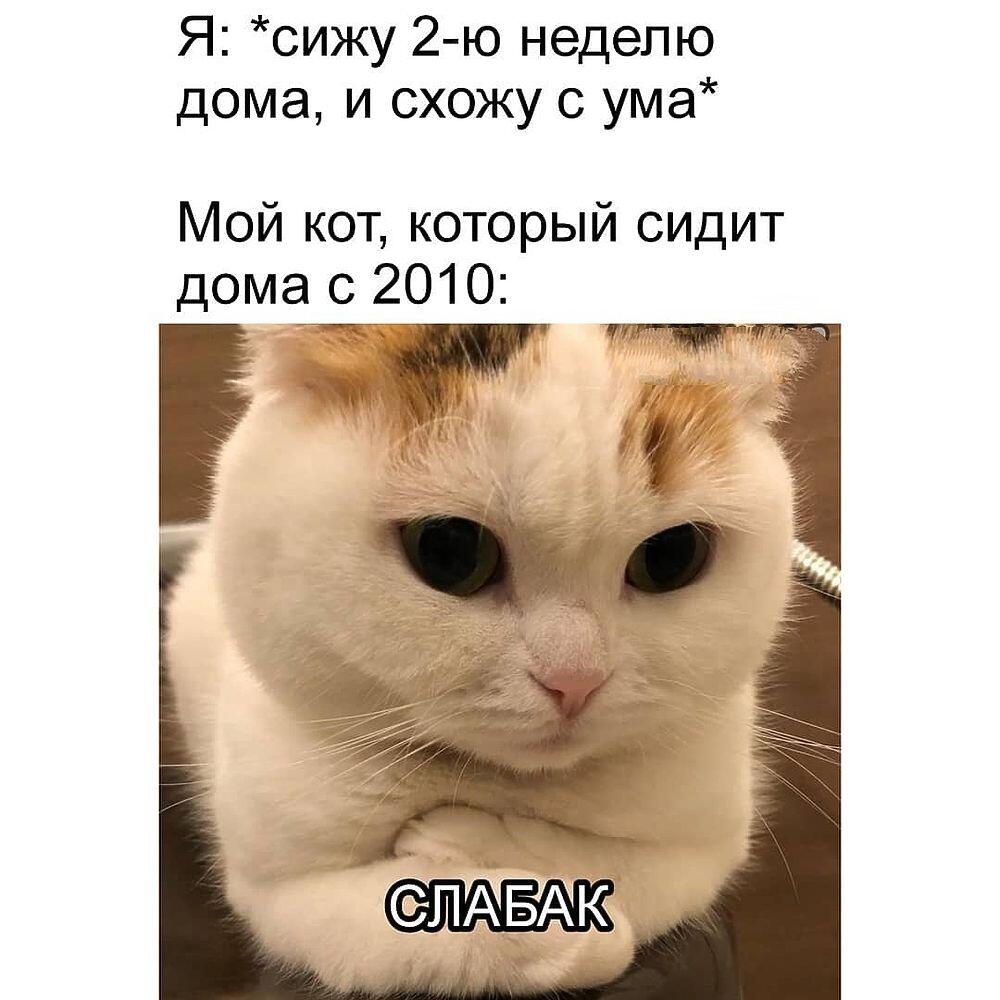 Мем без подписи