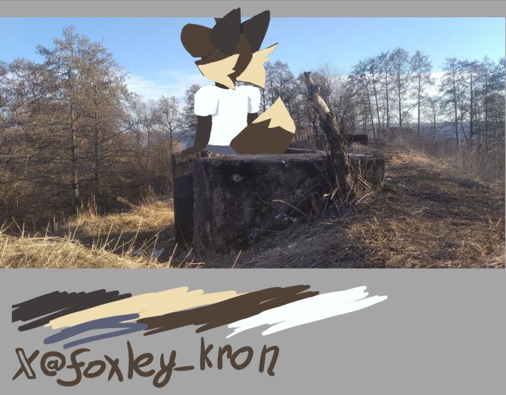 Kofi_simon решил дать задачу нарисовать небольшой дудлик, используя палитру фотографии. Вот что получилось