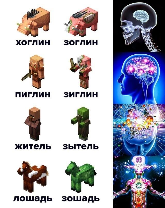 мем из Вк номер ленивая 8