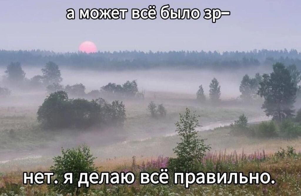 Мем от Сметана CHUP