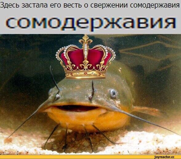 Мем от 🌸💥|цвяточный ад {ПЛМ}