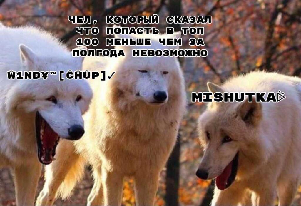 Мем от 🩶W1ndY[CHUP]🖤🍉