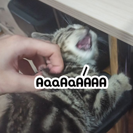 Стикер