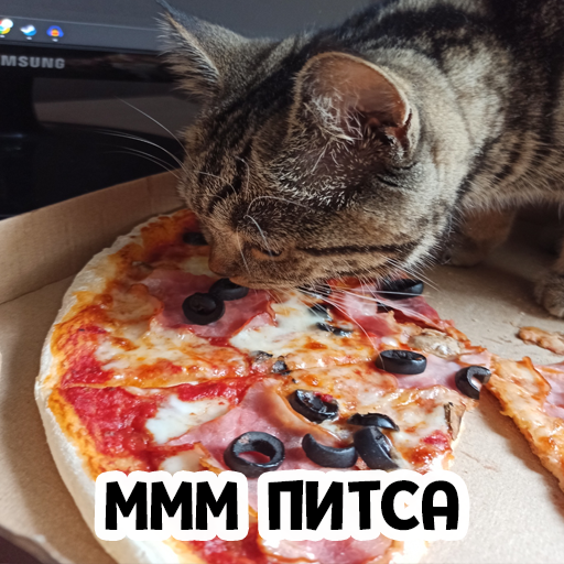 Стикер