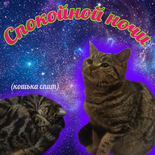 Стикер