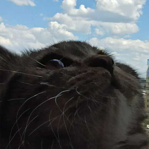 Стикер