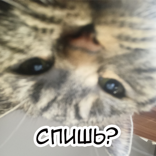 Стикер