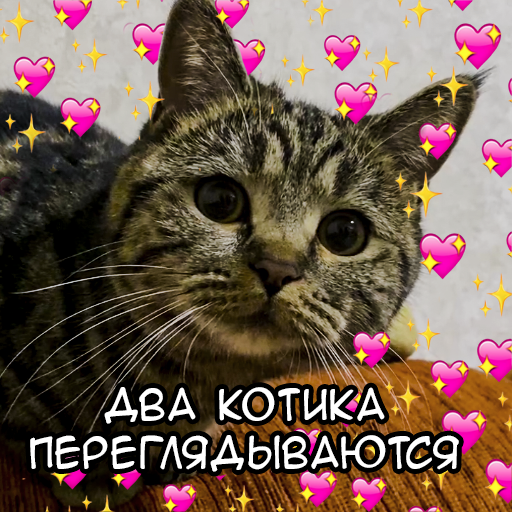 Стикер
