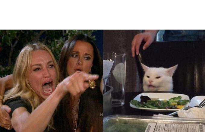 Шаблон мема «Женщина кричит на кота» (Woman Yelling at Cat)