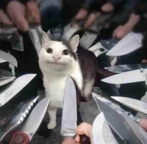 КоТэ_С_НоЖоМ