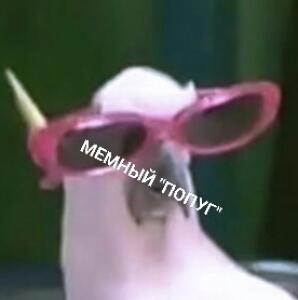 МЕМНЫЙ "ПОПУГ"