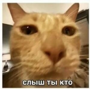Andrey091