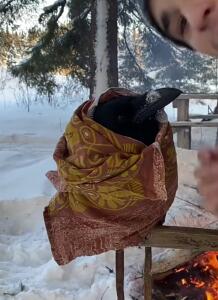 Игнат