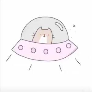 Коть