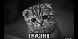 batonchik